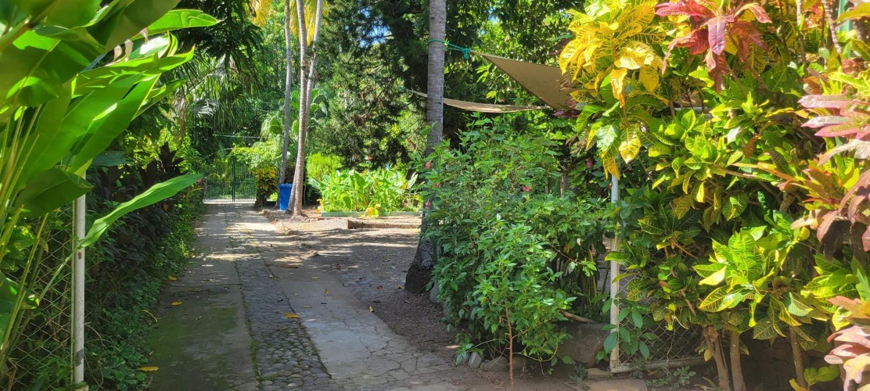 Hostal Tia Reyna El Zonte Buitenkant foto