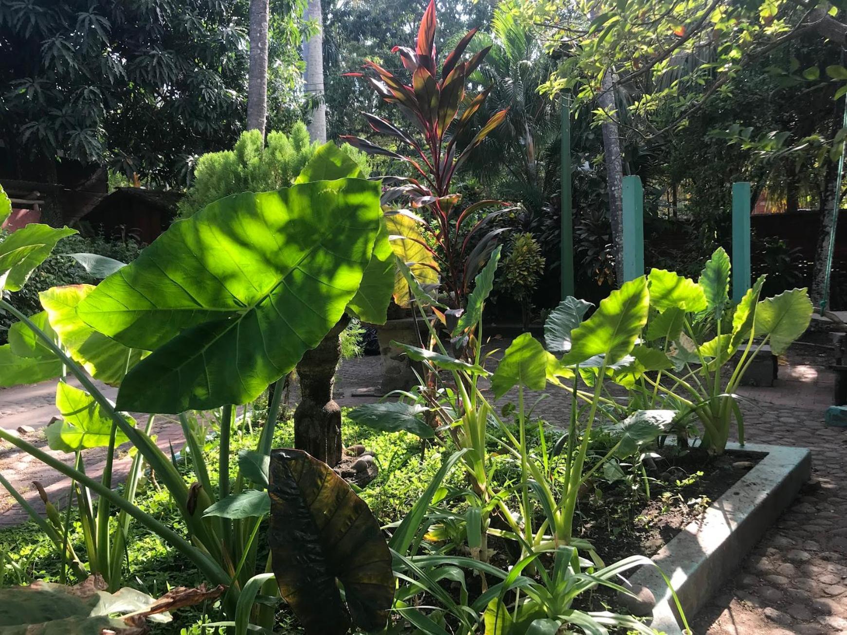 Hostal Tia Reyna El Zonte Buitenkant foto